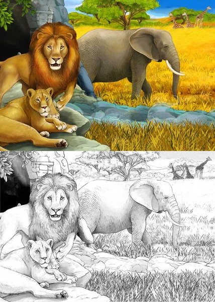 Dessin animé et scène de safari en couleur avec des lions reposant et éléphant sur l'illustration de prairie pour enfants — Photo