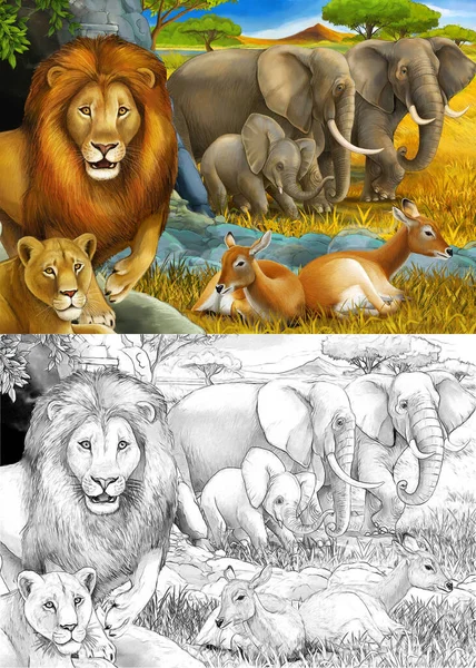 Dessin animé et scène de safari en couleur avec des lions reposant et éléphant sur l'illustration de prairie pour enfants — Photo