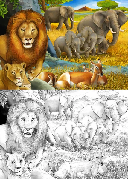 漫画のスケッチや子供のための牧草地のイラストにライオンの休息と象と色のサファリシーン — ストック写真