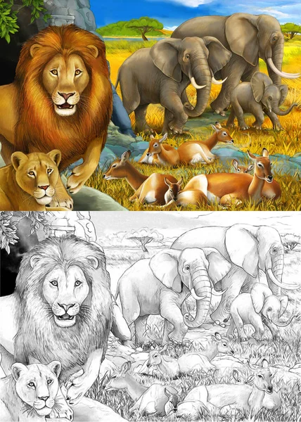 Disegno del fumetto e scena safari a colori con leoni a riposo ed elefante sul prato illustrazione per bambini — Foto Stock