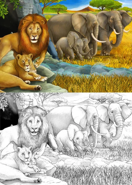 Desenho animado e cena de safári a cores com leões descansando e elefante na ilustração do prado para crianças — Fotografia de Stock