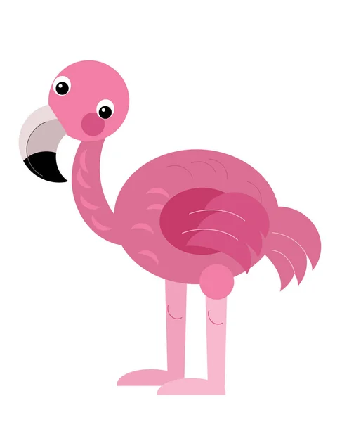 Karikatur Tier Vogel Flamingo Auf Weißem Hintergrund Safari Illustration Für — Stockfoto