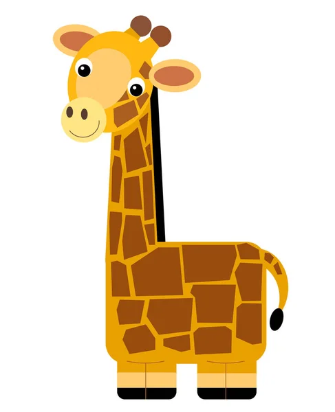 Cena Dos Desenhos Animados Com Girafa Sobre Fundo Branco Ilustração — Fotografia de Stock