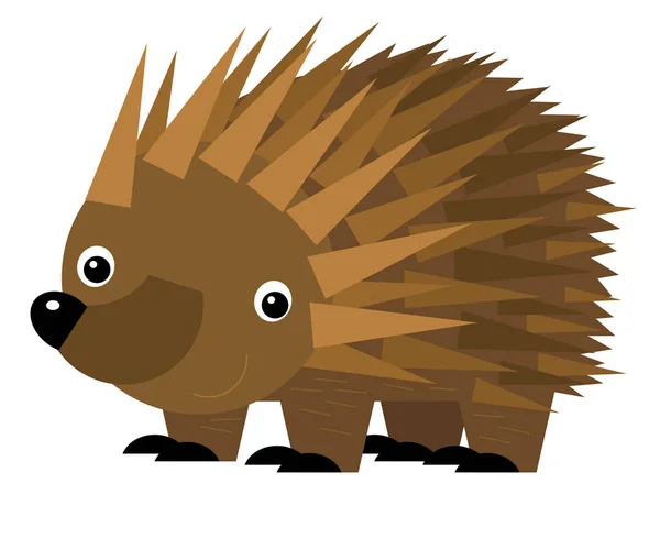 Adegan Kartun Australian Dengan Gembira Dan Lucu Echidna Hedgehog Latar — Stok Foto