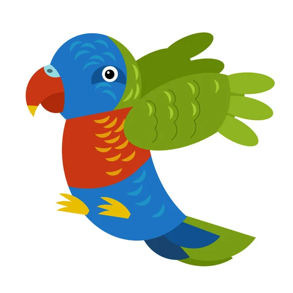 Cartoon Australischen Tier Vogel Papagei Auf Weißem Hintergrund Illustration Für — Stockfoto
