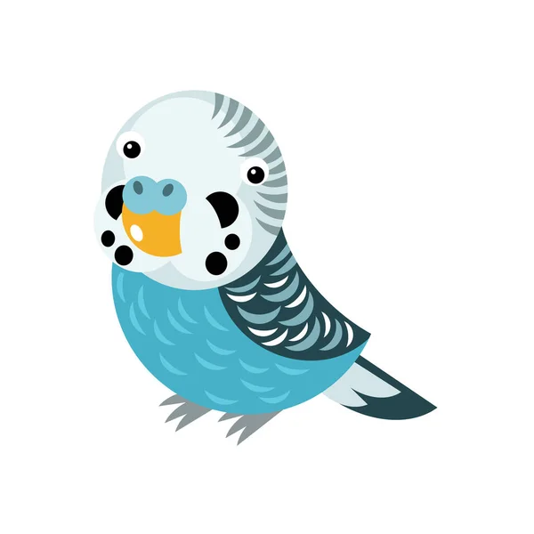 Cartoon Australische Dier Vogel Papegaai Witte Achtergrond Illustratie Voor Kinderen — Stockfoto