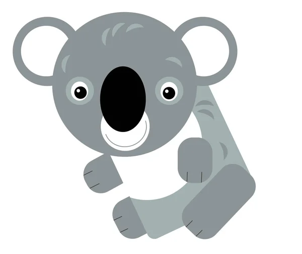 Cartoon Australian Scene Happy Funny Koala White Background Illustration Children — Stock Photo, Image