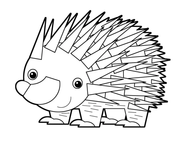 cartoon sketch australian scene with happy and funny echidna hedgehog on white background - illustration for children