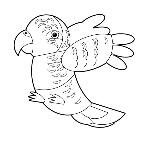 子供のための白い背景イラストに漫画のスケッチオーストラリアの動物の鳥のオウム — ストック写真