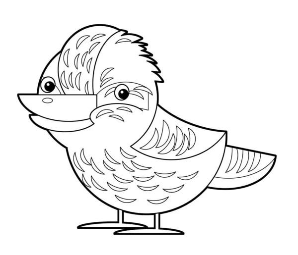 Zeichentrickskizze Australischer Tiervogel Kookaburra Auf Weißem Hintergrund Für Kinder — Stockfoto
