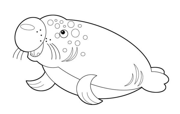 Cartoon Sketch Animal Sea Lion White Background Illustration Children — Stock Photo, Image