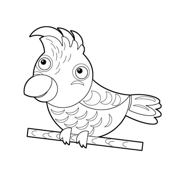 Cartoon sketch drawing australian animal bird cockatoo on white background illustration for children