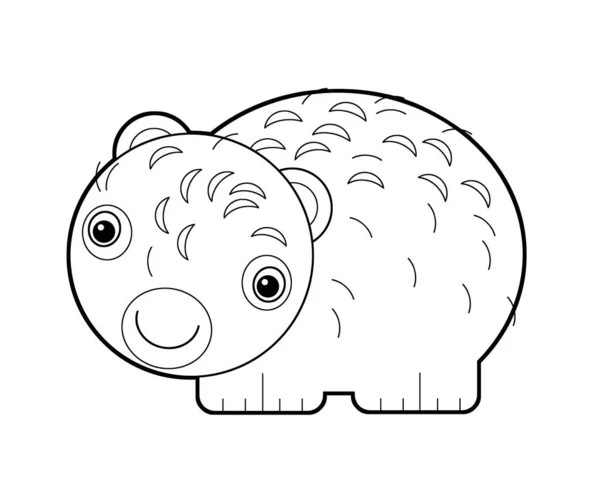 cartoon sketch drawing australian scene with happy and funny wombat on white background - illustration for children