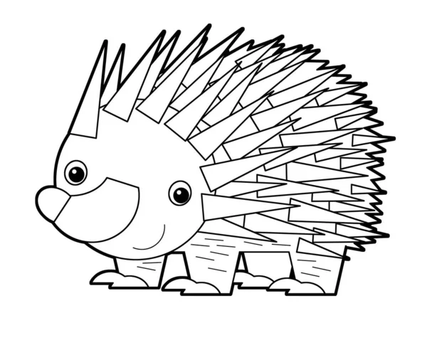 cartoon sketch drawing australian scene with happy and funny echidna hedgehog on white background - illustration for children