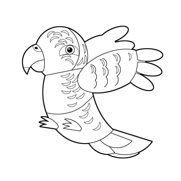 Cartoon Schizzo Disegno Australiano Animale Uccello Pappagallo Sfondo Bianco Illustrazione — Foto Stock