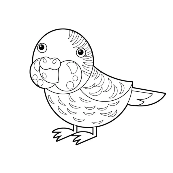 Cartoon Schizzo Disegno Schizzo Disegno Australiano Animale Uccello Pappagallo Sfondo — Foto Stock