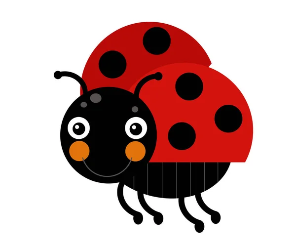 Tecknad Djur Insekt Nyckelpiga Vit Bakgrund Illustration För Barn — Stockfoto