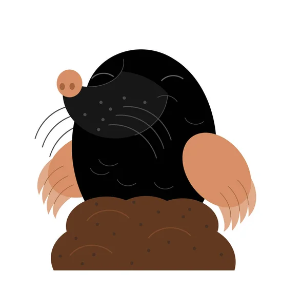 Mole Roedor Animal Desenhos Animados Ilustração Fundo Branco Para Crianças — Fotografia de Stock