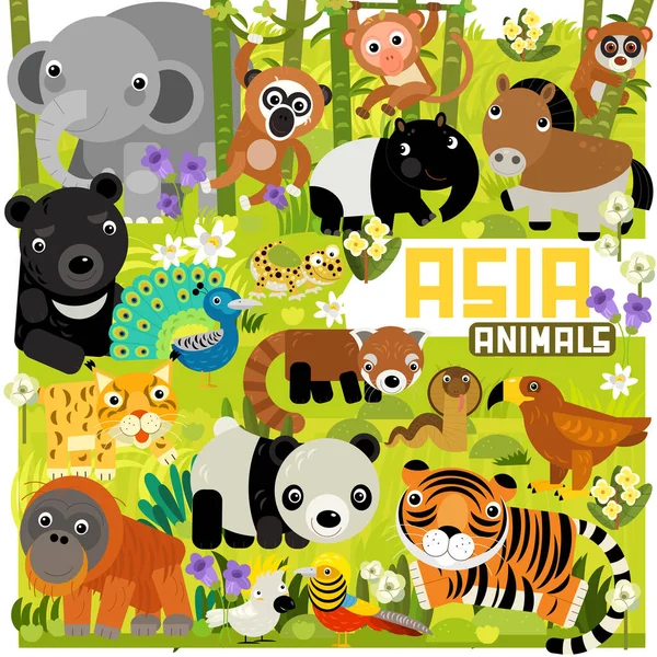 cartoon scene with different asian animals in the forest illustration for children