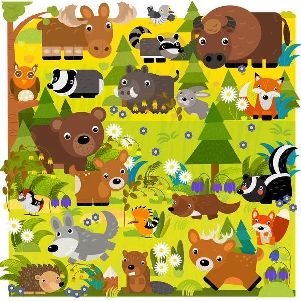 Çocuklar Için Orman Illüstrasyonunda Farklı Avrupa Hayvanlarının Olduğu Karikatür Sahnesi — Stok fotoğraf