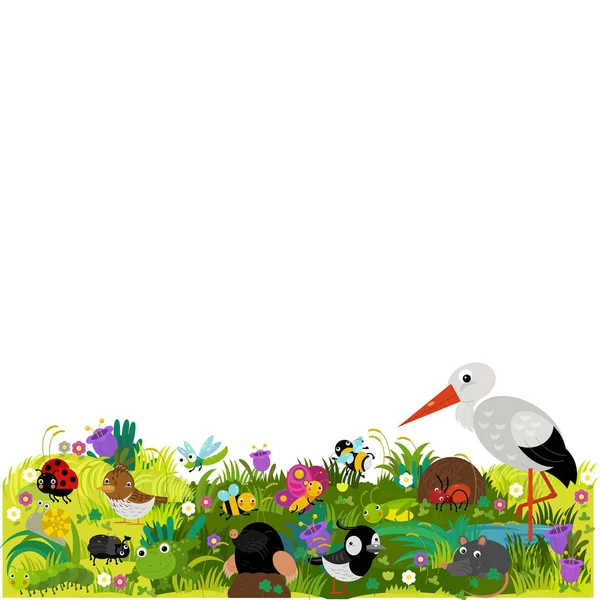 Cartoon Scene Different European Animals Rodents Bugs Forest Meadow Illustration — Stock Photo, Image