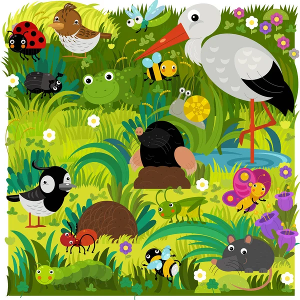 cartoon scene with different european animals rodents and bugs on the forest meadow illustration for children