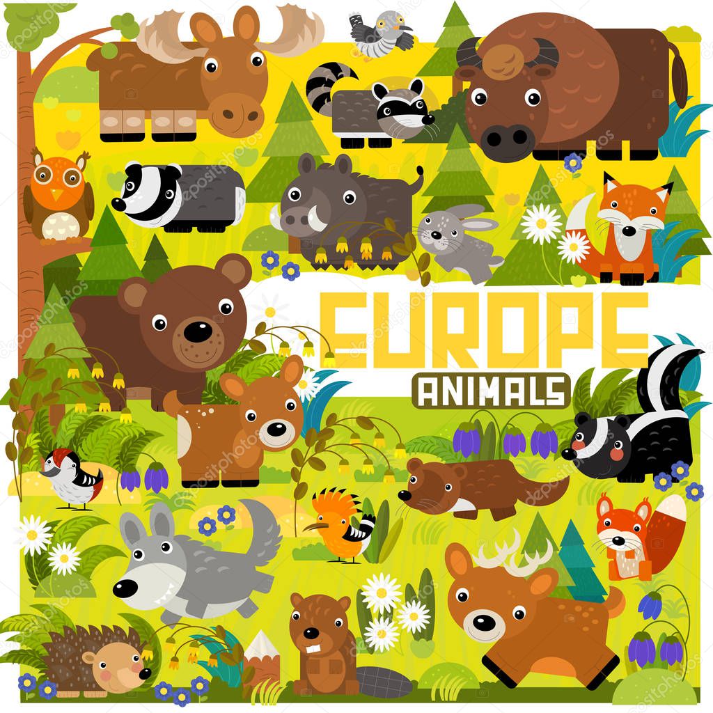 cartoon scene with different european animals in the forest illustration for children