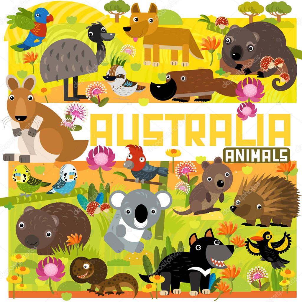 cartoon australia scene with different animals in the forest illustration for children