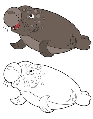 Beyaz arka planda deniz filinin olduğu karikatür sahnesi çocuklar için çizim defteri çizimi