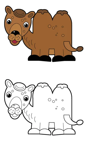 Cena Dos Desenhos Animados Com Camelo Sobre Fundo Branco Ilustração — Fotografia de Stock