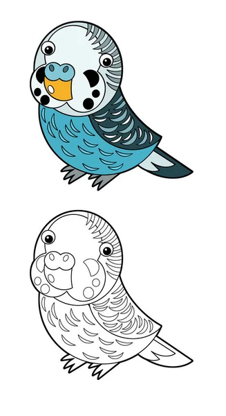Tecknad Skiss Teckning Australiska Djur Fågel Papegoja Vit Bakgrund Illustration — Stockfoto