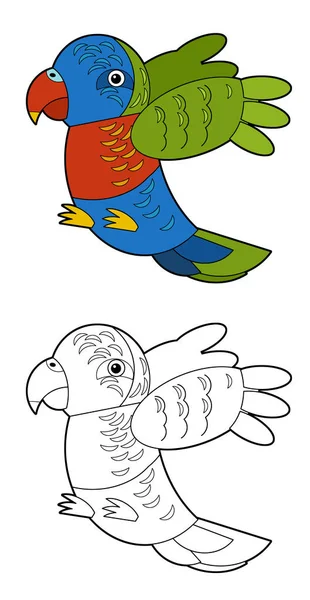 Cartoon Sketch Drawing Australian Animal Bird Parrot White Background Illustration — Stock Photo, Image