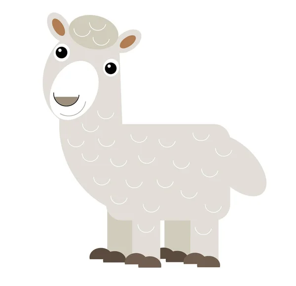 Scena Kreskówki Amerykańskich Zwierząt Alpaka Białym Tle Ilustracja Dla Dzieci — Zdjęcie stockowe