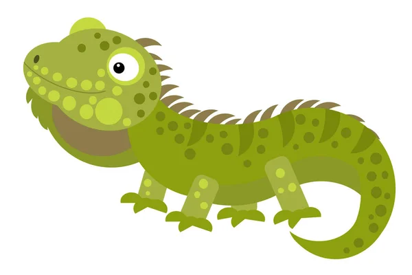 cartoon american happy and funny lizard iguana isolated on white background- illustration for children