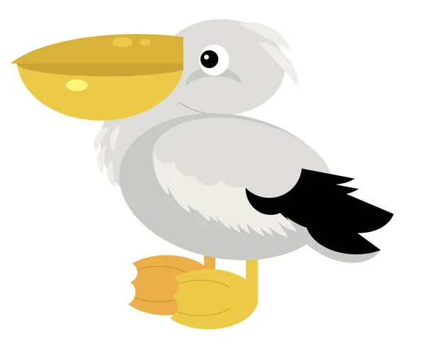 Dessin Animé Pélican Oiseau Animal Américain Sur Fond Blanc Illustration — Photo