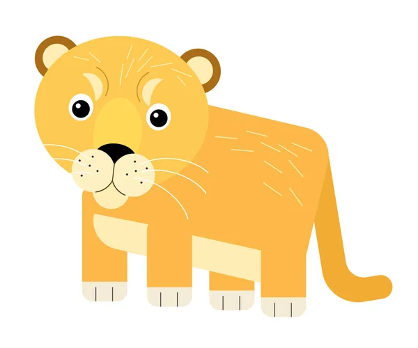 Tecknad Scen Med Glad Amerikansk Katt Puma Vit Bakgrund Illustration — Stockfoto