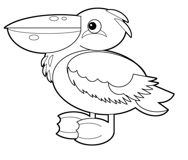 Desene Animate Schiță American Animal Pasăre Pelican Fundal Alb Ilustrare — Fotografie, imagine de stoc