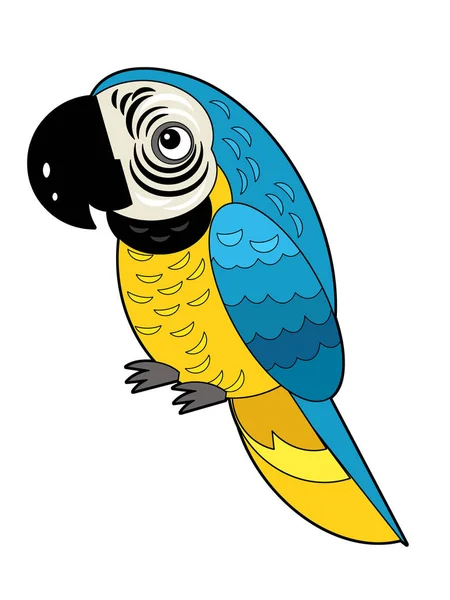 Cartoon Amerikanische Tier Vogel Papagei Auf Weißem Hintergrund Illustration Für — Stockfoto