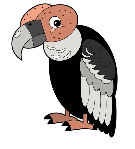 Cartoon american animal bird condor on white background illustration for children