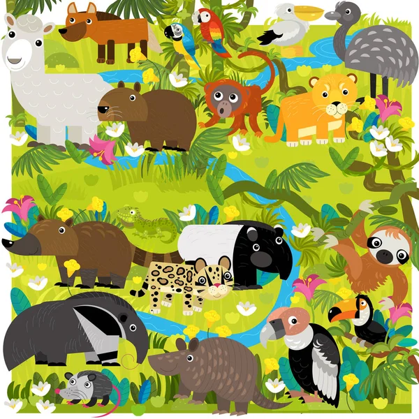 Cartoon South America Scene Different Animals Pond Illustration Children — Stock Photo, Image