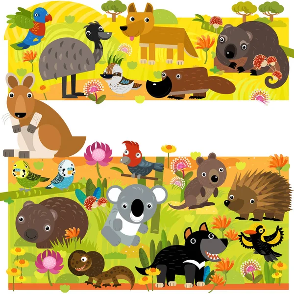 Desenho Animado Austrália Cena Com Diferentes Animais Floresta Ilustração Para — Fotografia de Stock