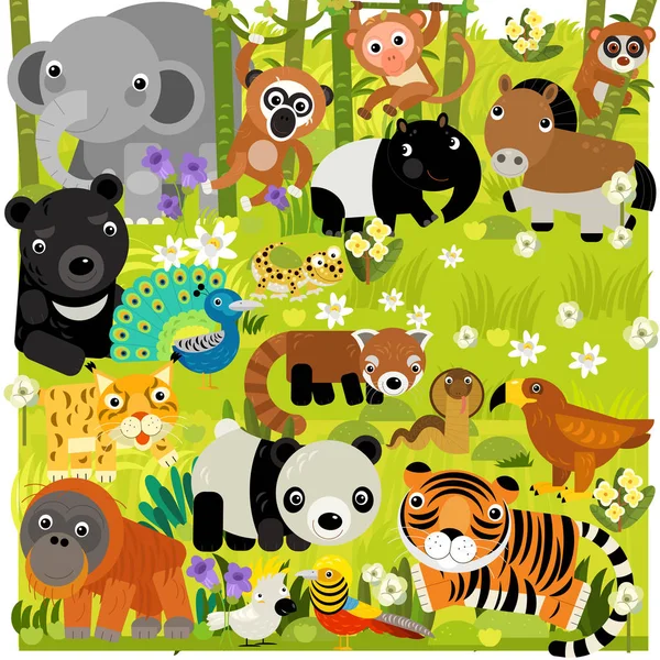 Çocuklar Için Orman Illüstrasyonunda Farklı Asya Hayvanlarının Olduğu Karikatür Sahnesi — Stok fotoğraf