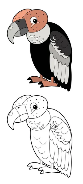 Tecknad Skiss Amerikanska Djur Fågel Kondor Vit Bakgrund Illustration För — Stockfoto