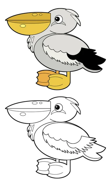 Cartoon Sketchbook American Animal Bird Pelican White Background Illustration Children — стоковое фото