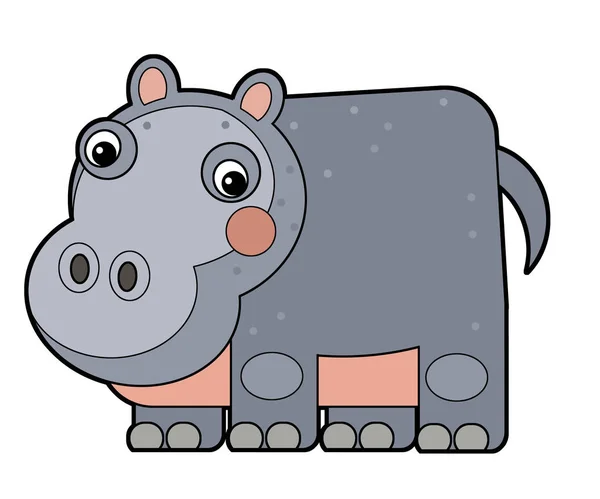 Cena Dos Desenhos Animados Com Hipopótamo Hipopótamo Fundo Branco Safari — Fotografia de Stock