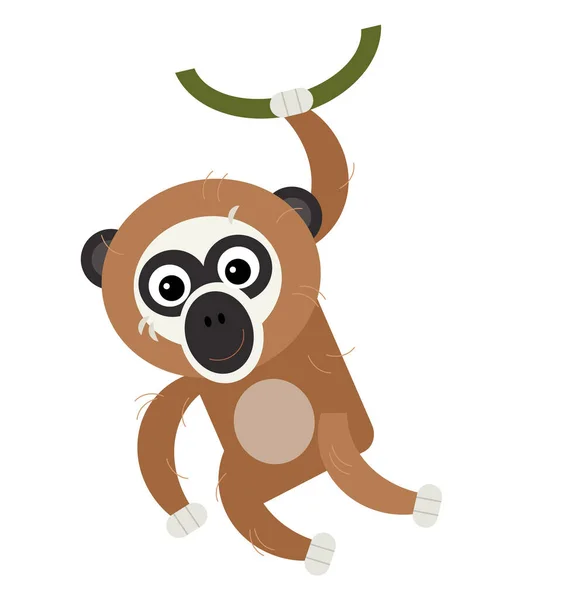 Desenho Animado Asiático Cena Com Americano Animal Macaco Gibbon Branco — Fotografia de Stock