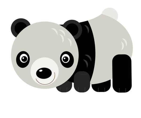 亚洲卡通片 背景为白色的熊猫熊 儿童图解 — 图库照片