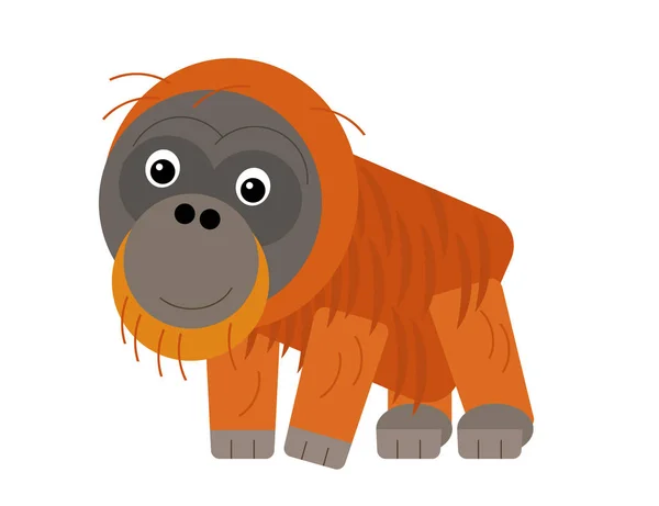 cartoon asian scene with asian animal monkey ape orangutan on white background illustration for children