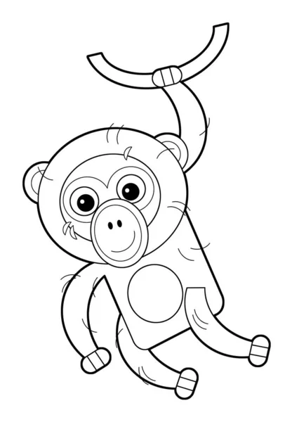 cartoon sketchbook asian scene with american animal monkey gibbon on white background illustration for children