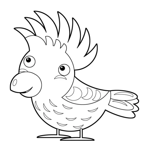 Tecknad Skiss Bok Asiatiska Djur Fågel Cockatoo Vit Bakgrund Safari — Stockfoto